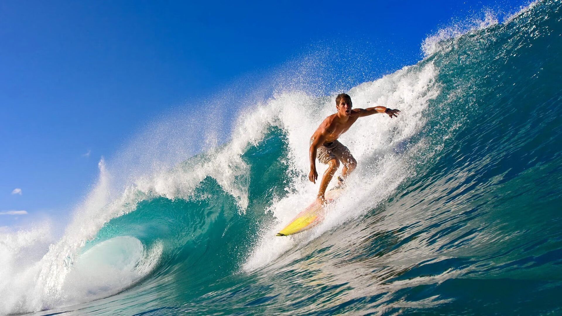 凯莉·麦基翁彰显女子仰泳项目新高度，凯莉麦基翁身高
